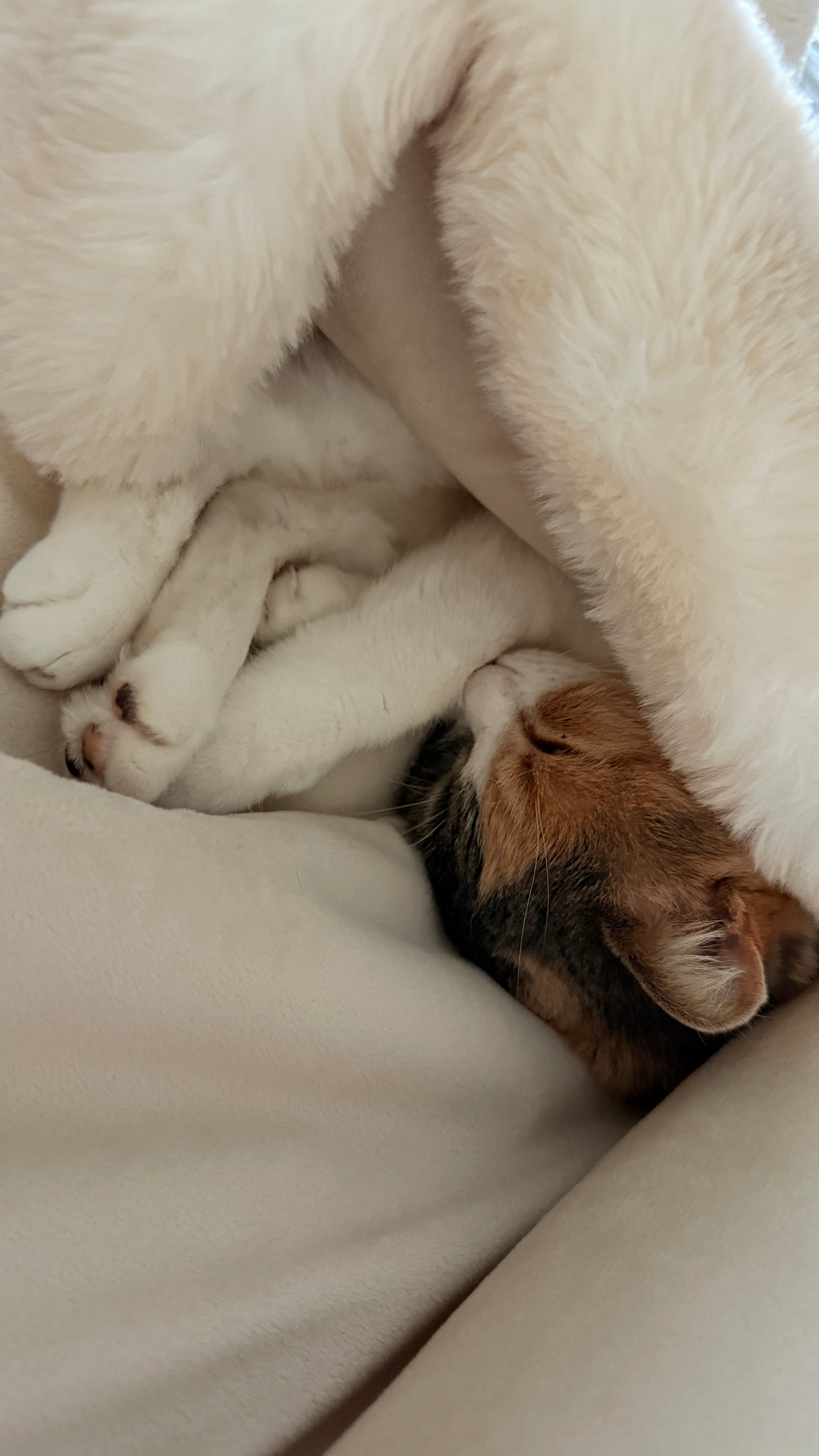 KNITTED FLOWER ZIP UP ROMPER