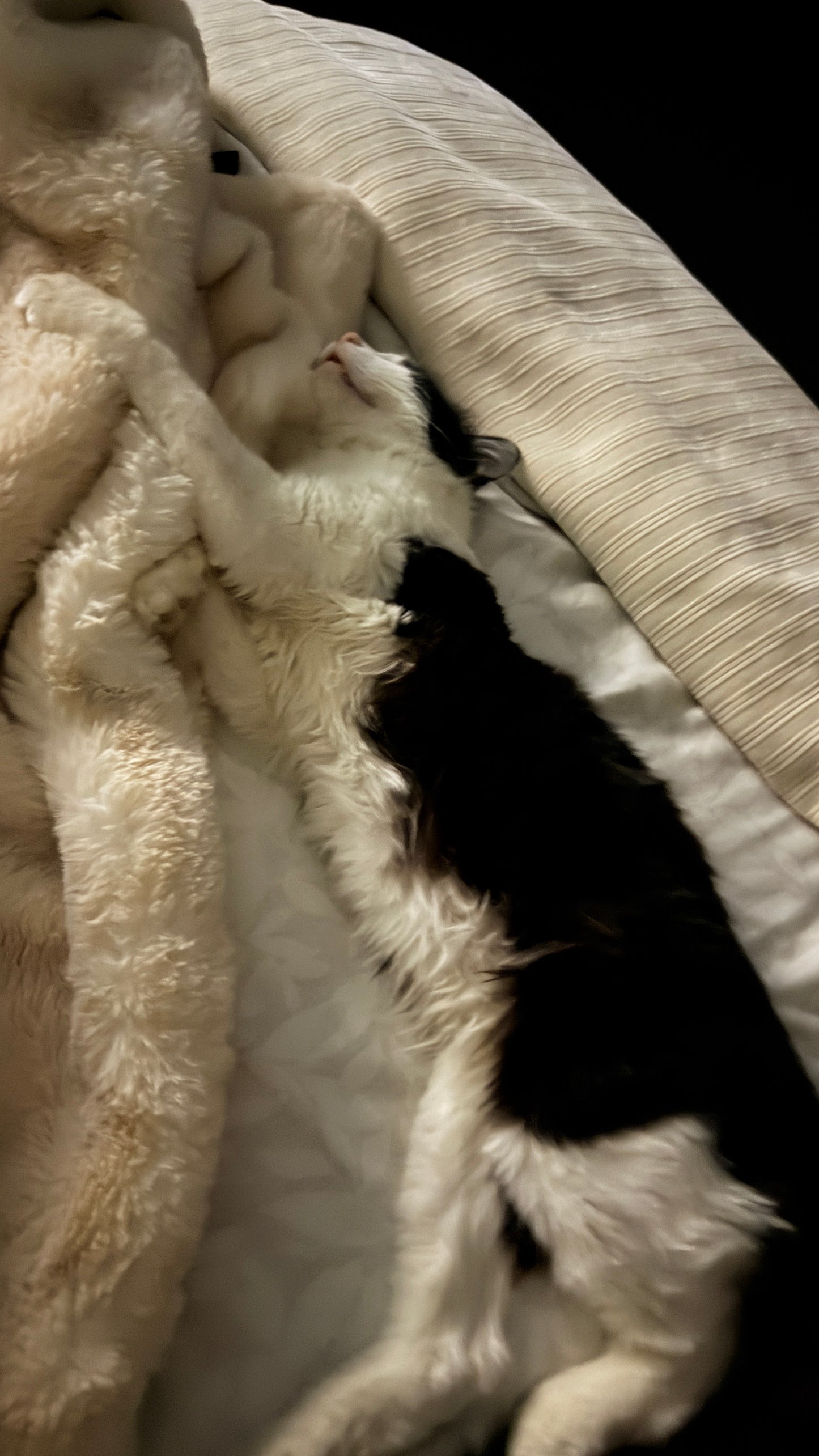 KNITTED FLOWER ZIP UP ROMPER