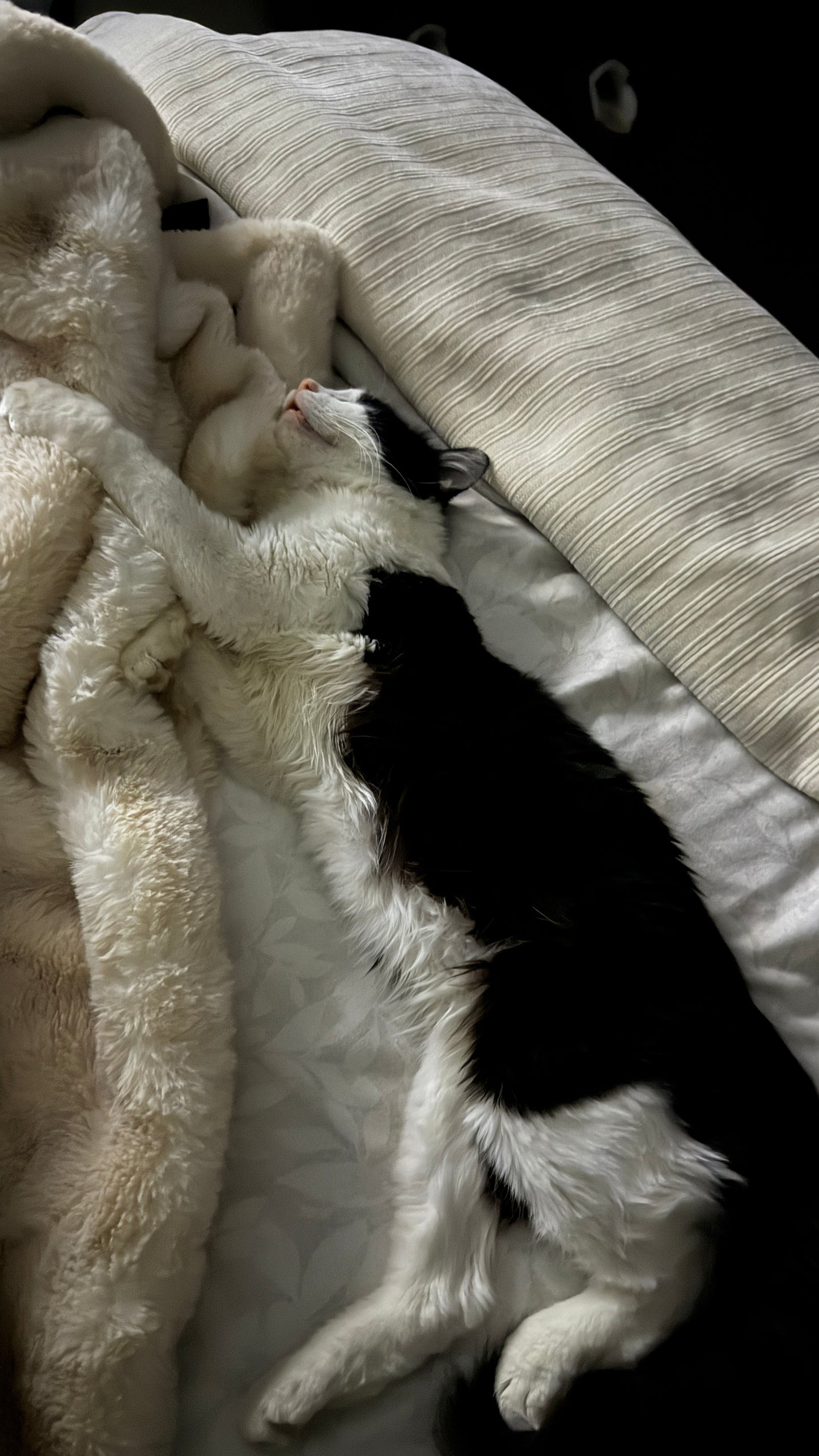 KNITTED FLOWER ZIP UP ROMPER